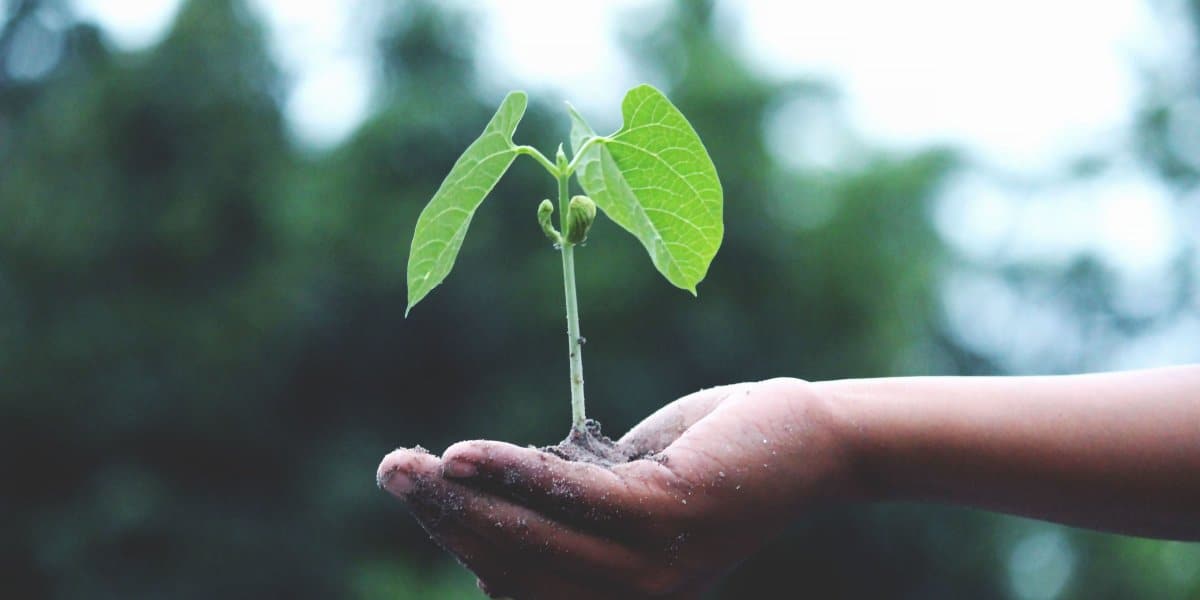 Plan for Sustainability