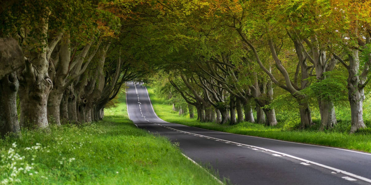 important fuel saving tips