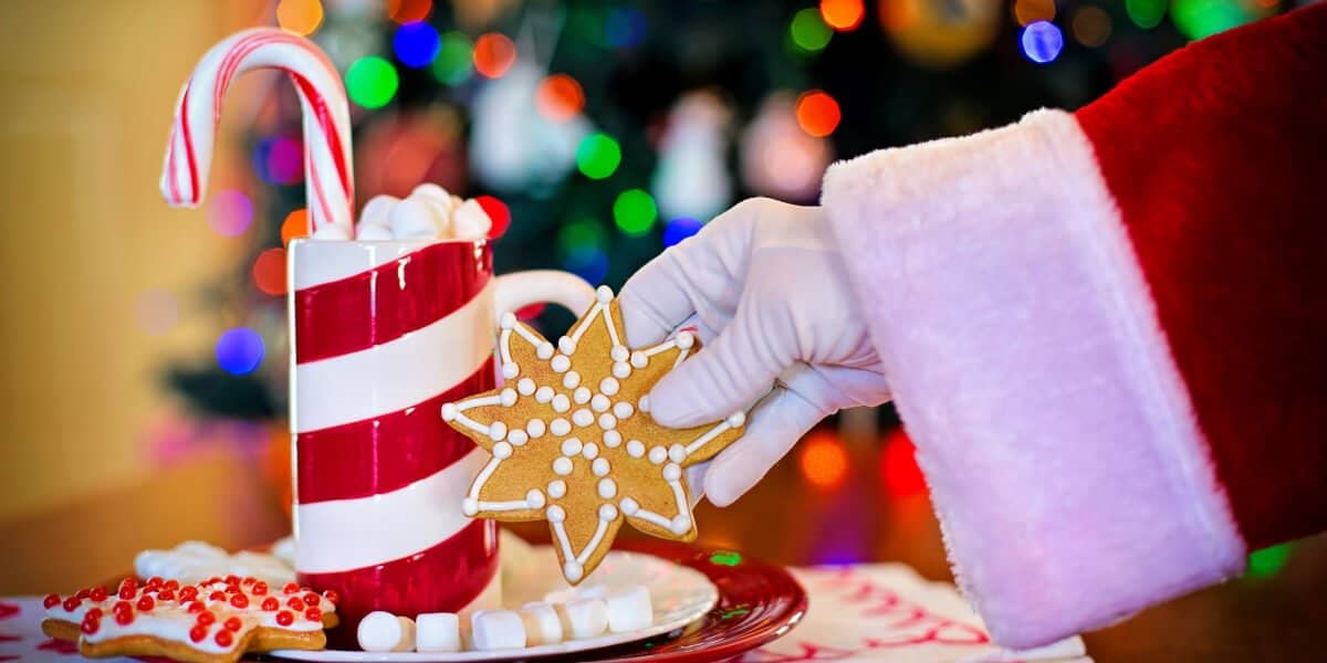 How to Use Road XS for a Stress Free Christmas
