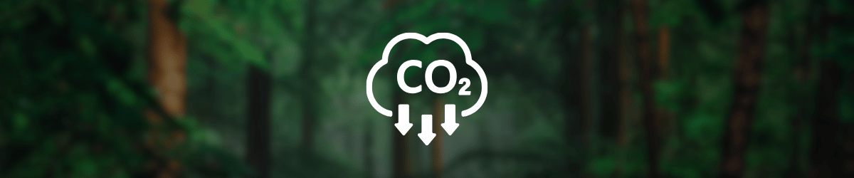 carbon