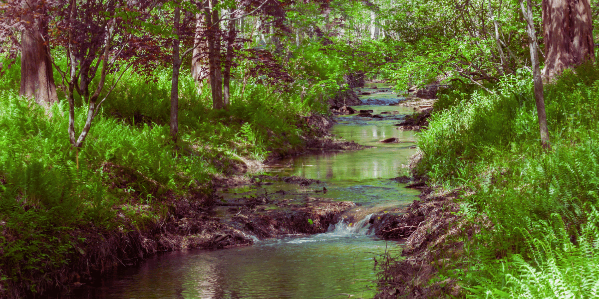 country park