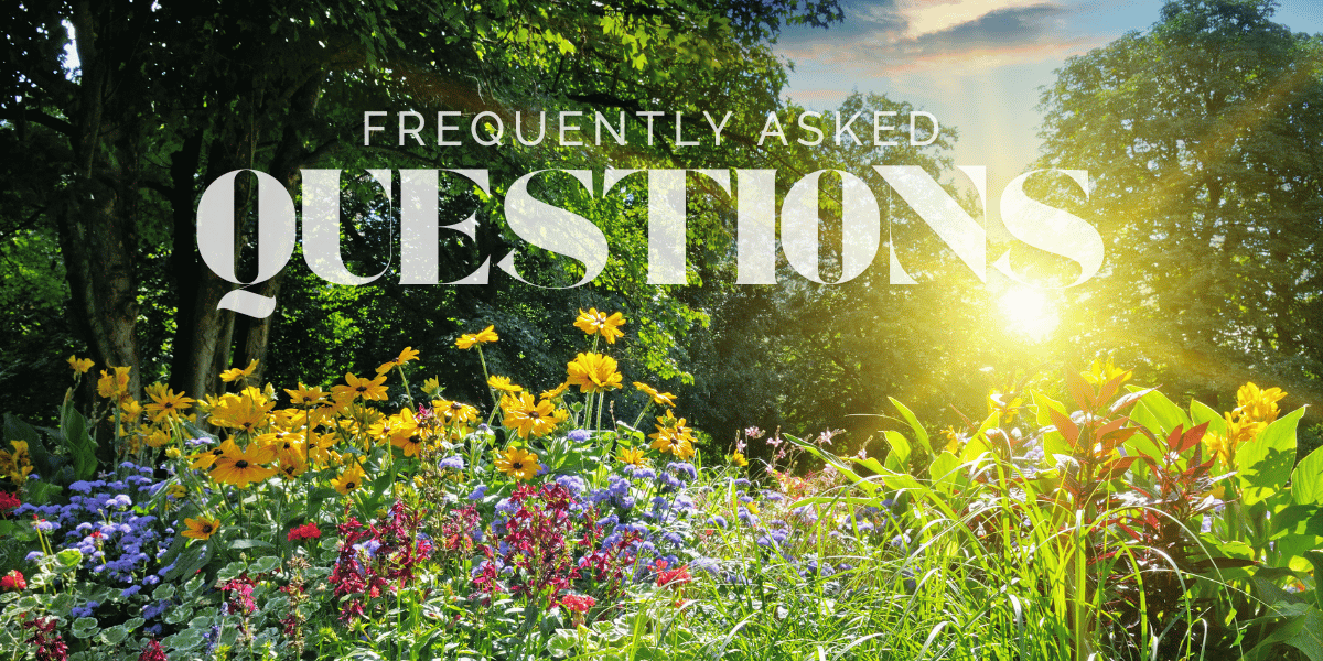 summer driving faqs