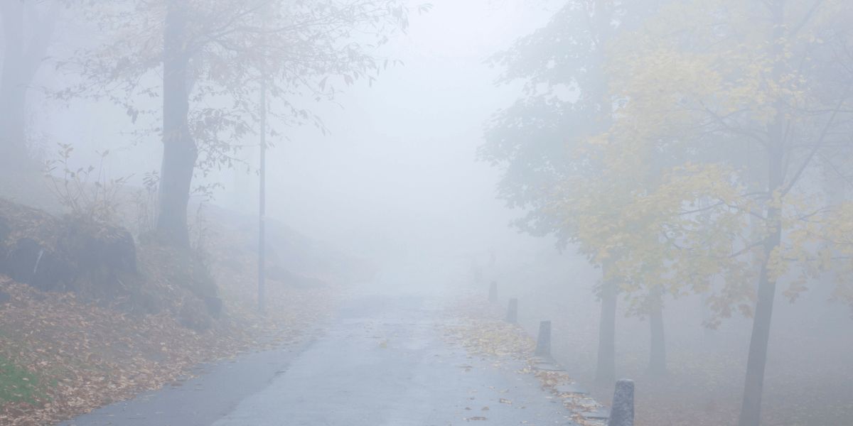 take extra care in the fog
