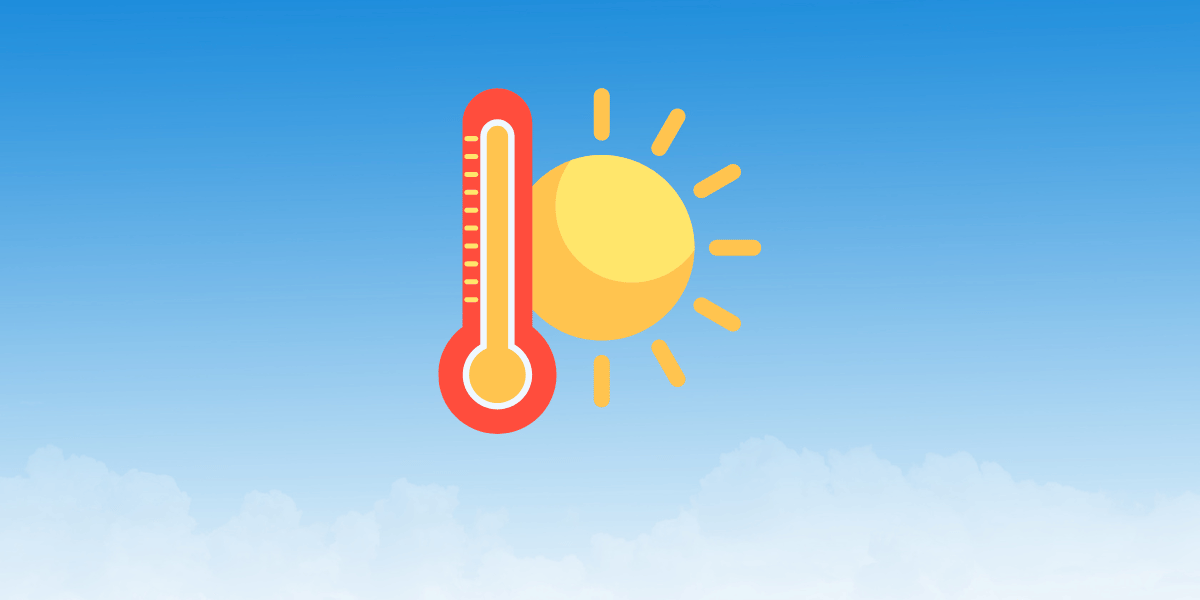 the importance of weather and public trandport