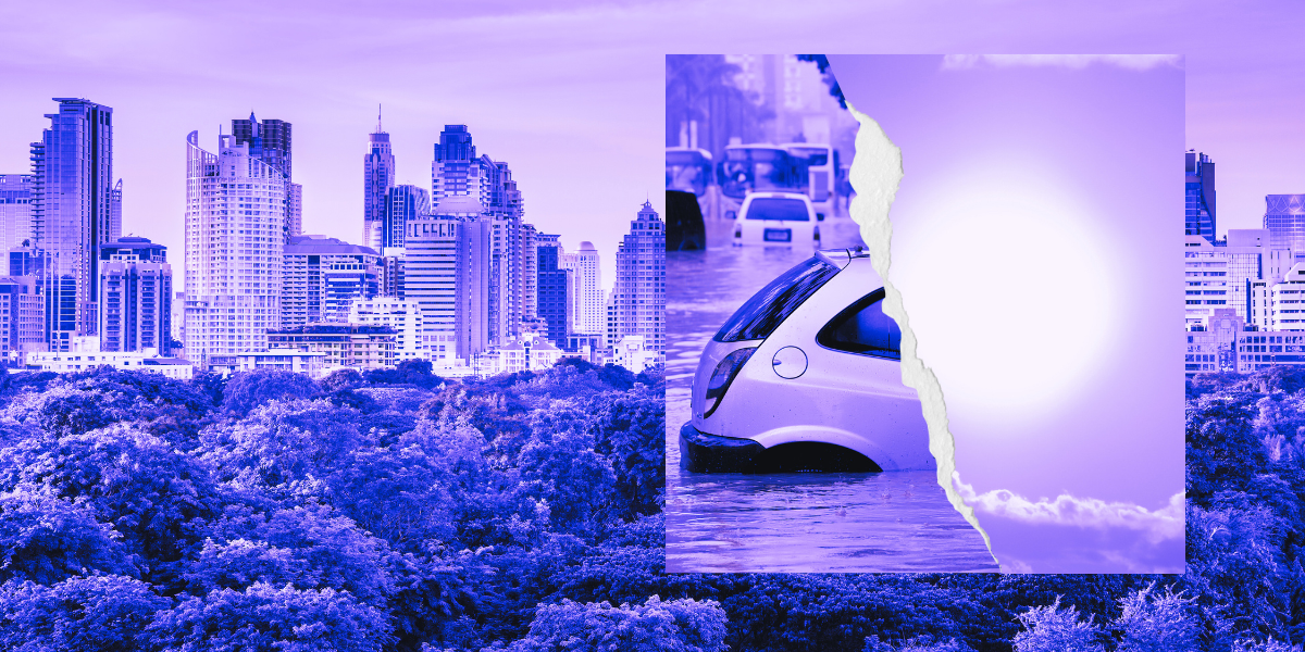 transport and the environment